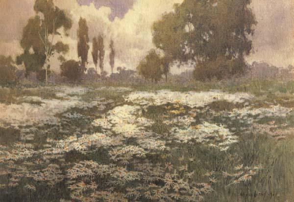 unknow artist Field of Daisies France oil painting art